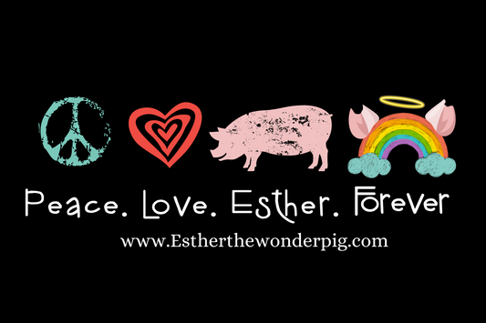 NEW- Peace.Love.Esther #Forever- BUMPER STICKER