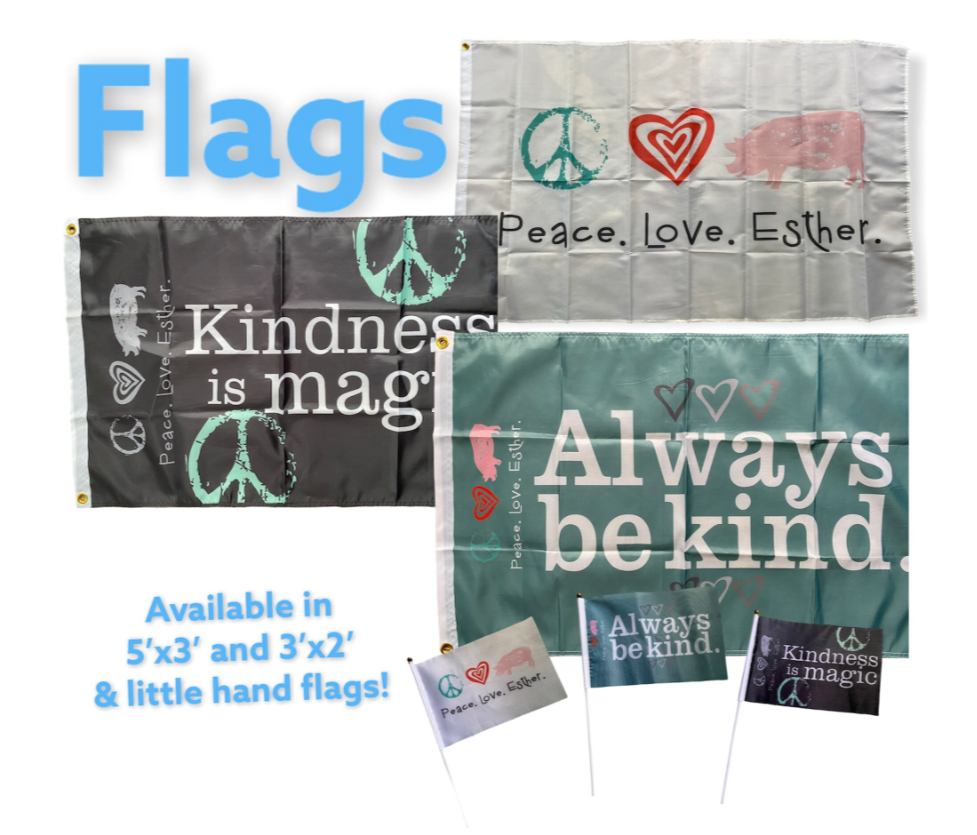Flags 3 sizes