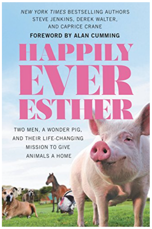 Happily Ever Esther - Book