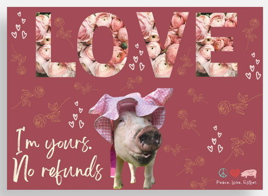 NEW -LOVE - Esther Cards- Love Notes