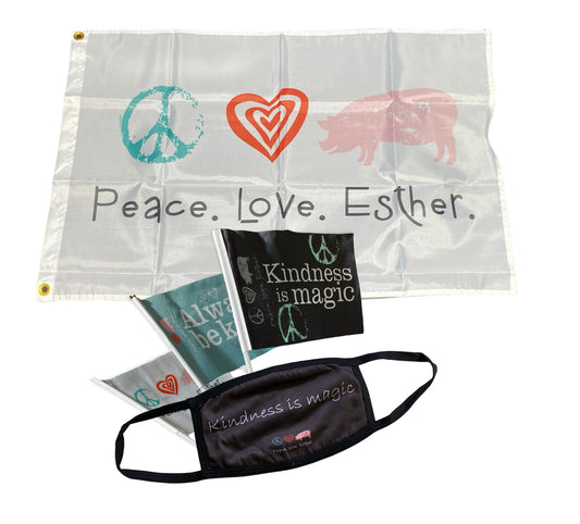 Pack my Flags ($60 Value)
